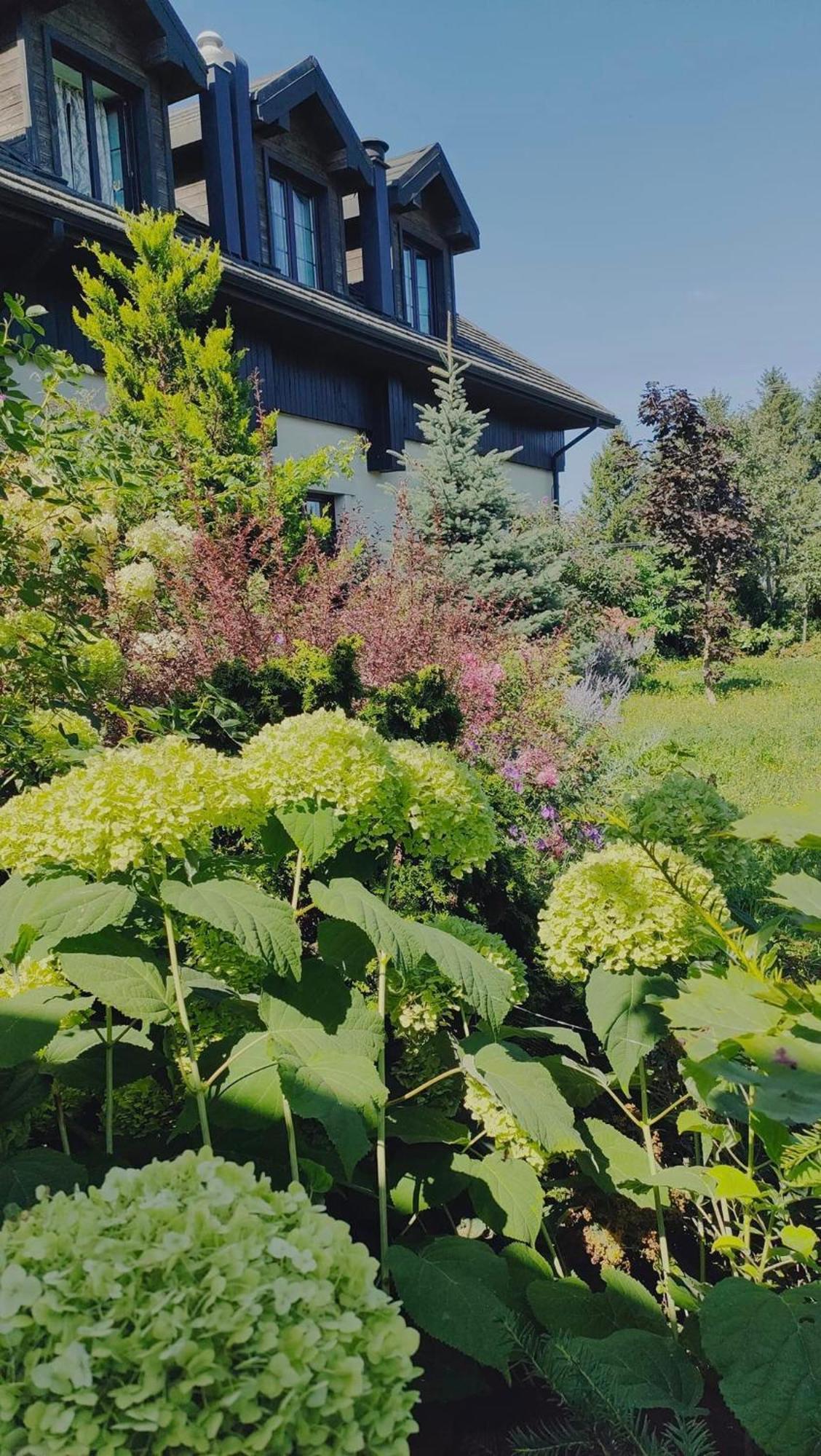 Osrodek Bialy Lew Bed & Breakfast Wojciechow  Bagian luar foto